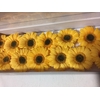 Gerbera mini geel