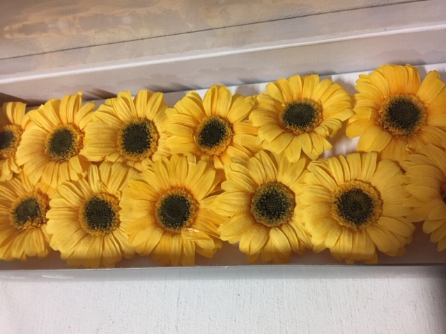 Gerbera mini geel