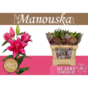 LI OR DU RL MANOUSKA