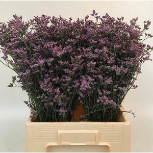 LIM PIUMA DARK BLUE 35gr