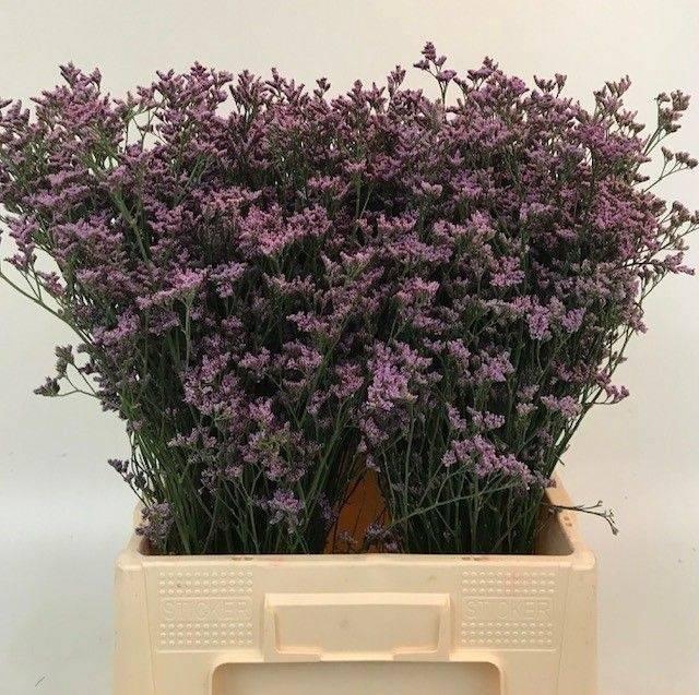 <h4>LIM PIUMA DARK BLUE 35gr</h4>