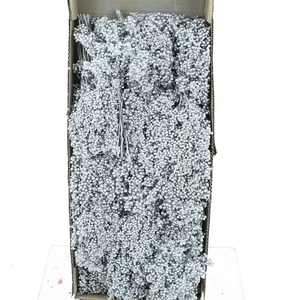 Dried Pepper Berries Silver