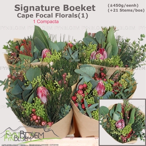 PROTEA PER BOS