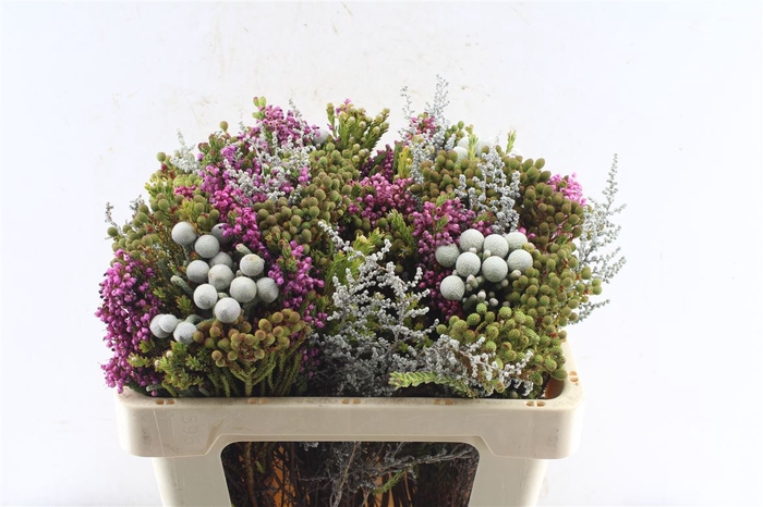 <h4>Kaaps Groen Gemengd In Bos</h4>