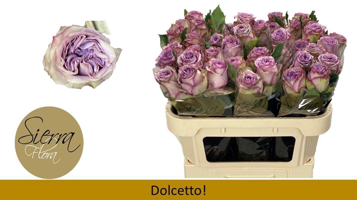 <h4>R Gr Dolcetto!</h4>