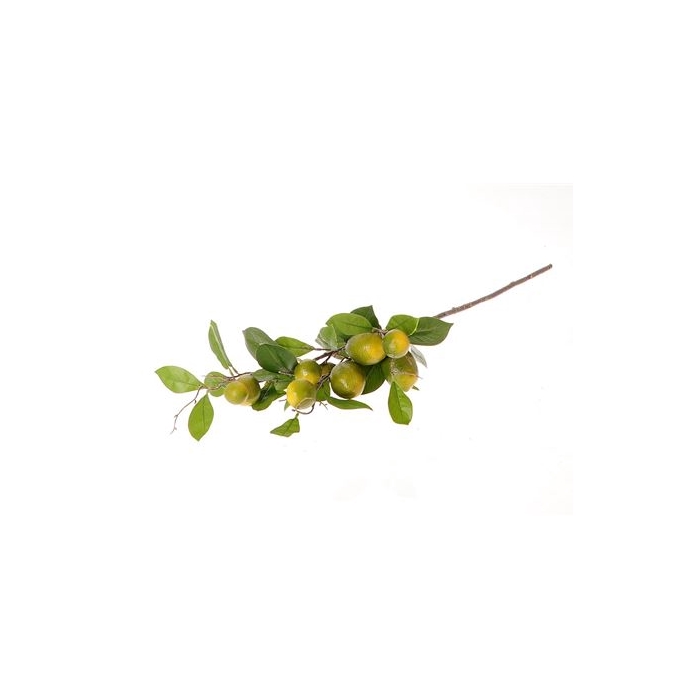 <h4>Stem Lemon Plant L90W30H17</h4>