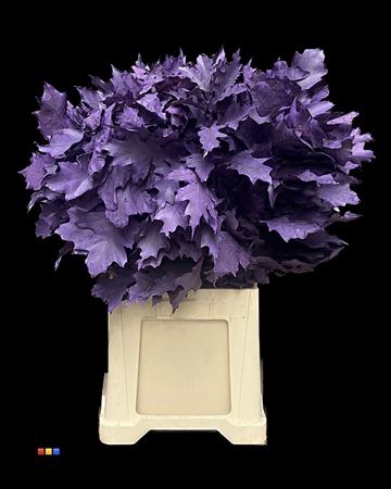 <h4>Eikeblad Frosted Violet 80cm</h4>