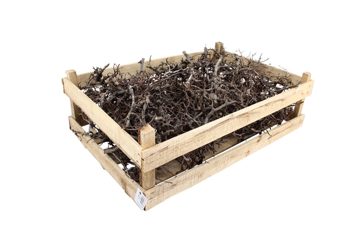 <h4>Kist Bonsai Natural 60x40cm</h4>