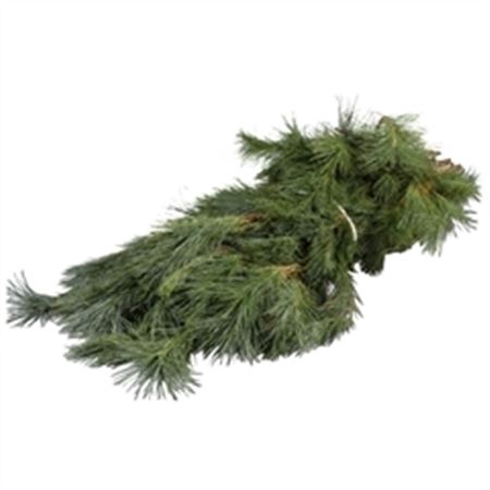 <h4>KIEFER HANDBOS</h4>