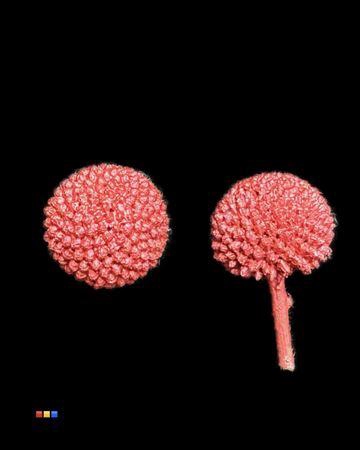 <h4>Craspedia Klb Metallic Red</h4>