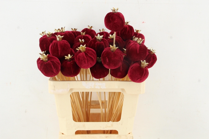 <h4>Stick Pomegranate V.6cm Burg.</h4>