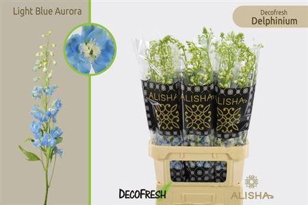 <h4>Delph Du Aurora L Blue</h4>