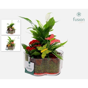 Glazen Bloemschaalmet Voorjaar arrangement