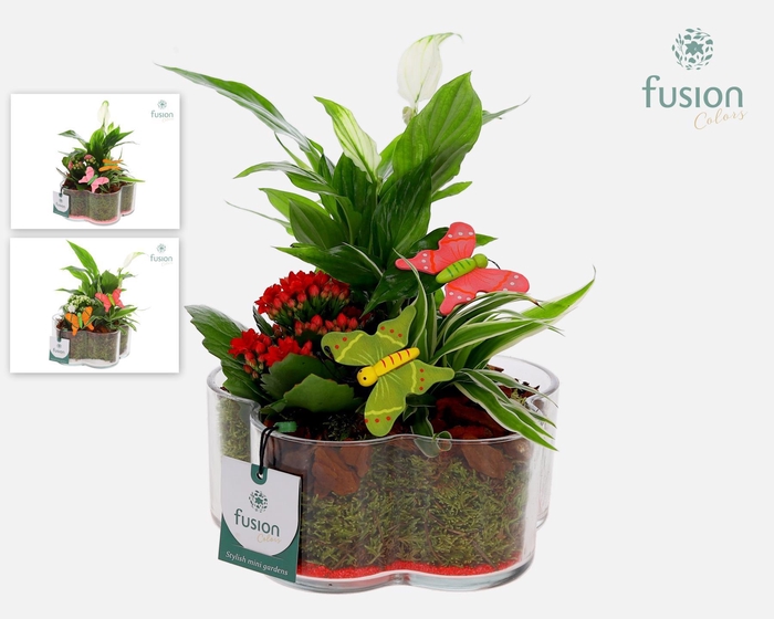 <h4>Glazen Bloemschaalmet Voorjaar arrangement</h4>