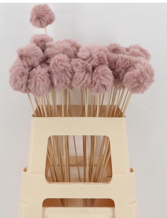 <h4>HUIS EN TUINDECO H%</h4>