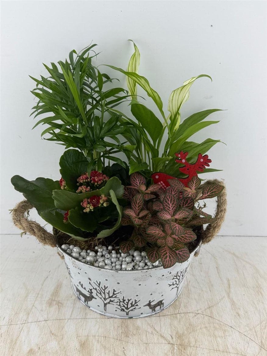 <h4>Arr (11) zink rond met hert</h4>