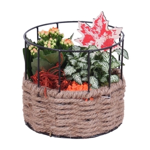 Autumn Arr. Frame Rope Pot Round Ø17cm 2PP