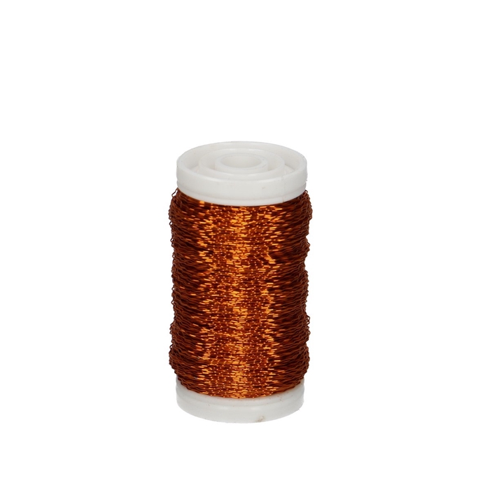 <h4>Wire Bouillon 0.3mm 100g</h4>