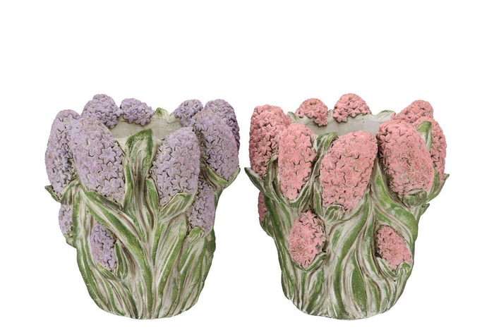<h4>Dante Pink Lilac Pot Hyacinth Ass 29x28x30cm</h4>