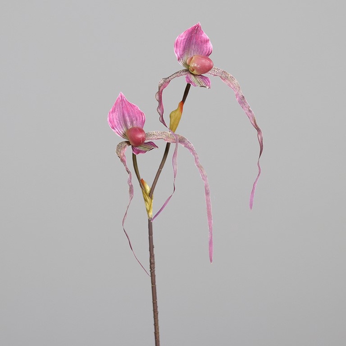<h4>Lady's slipper orchid 80cm aubergin</h4>