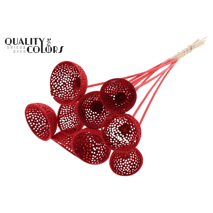 <h4>Bell Cup Jali on stem Intense Red</h4>
