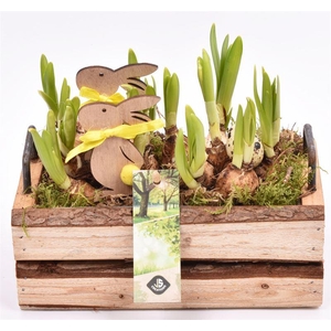 Hout rechth. met handvat 20x11cm