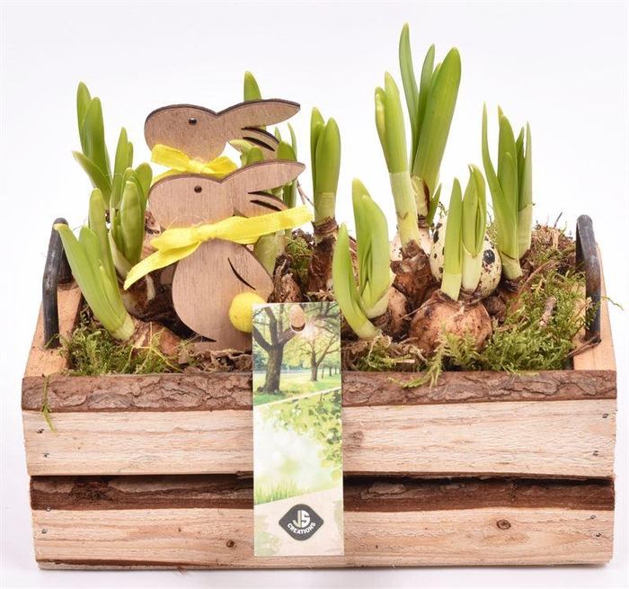 <h4>Hout rechth. met handvat 20x11cm</h4>