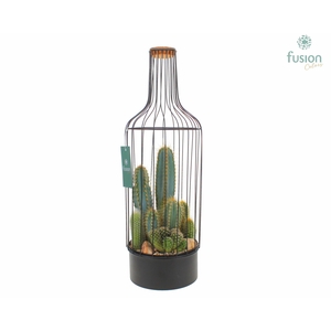 Metaal fles zwart Large met Cactussen