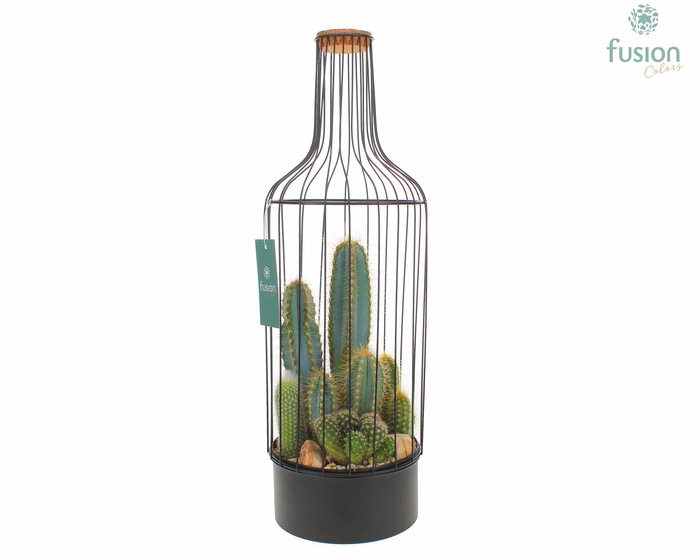 <h4>Metaal fles zwart Large met Cactussen</h4>