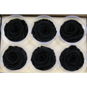 R Prs Black Luxurious