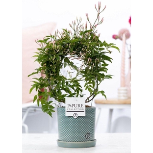 Jasm Poly Boog Keramiek Lauren