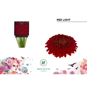 GE MB Gerponi Red Light diamond x60