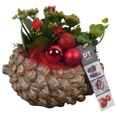 <h4>PTCHR7307 Arrangementen Kerst</h4>