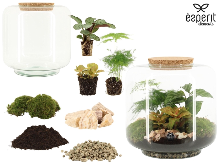 <h4>90862: DIY Terrarium arrangement</h4>