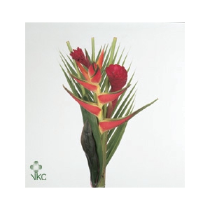 HELICONIA BOEKET