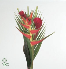 <h4>HELICONIA BOEKET</h4>