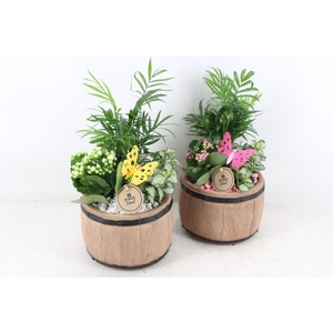 arr2 PL - Ker. barrel - roze/wit