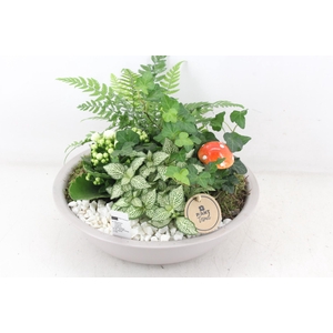 arr2 PL - Zink schaal creme - wit