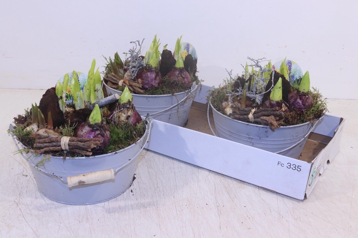 <h4>ARR BOL KNOLGEWAS</h4>