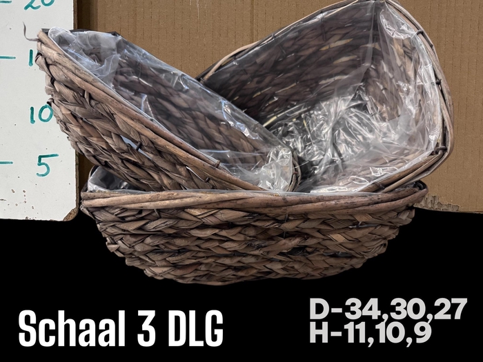 <h4>MANDWERK H%</h4>