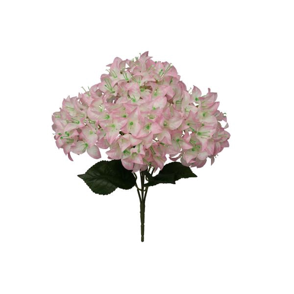 Bunch Bougainvillea L46W24H24