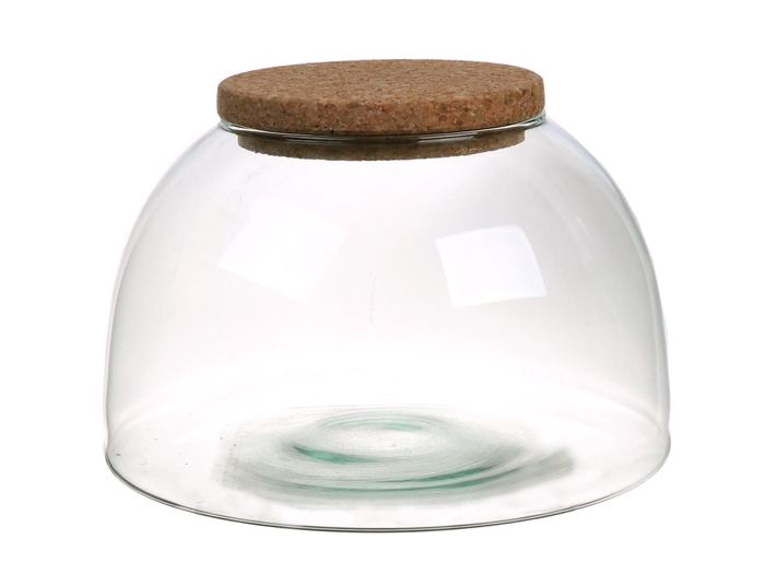 <h4>DF01-883710900 - Terrarium Oria d12.5/24xh14.5 Eco + cork</h4>