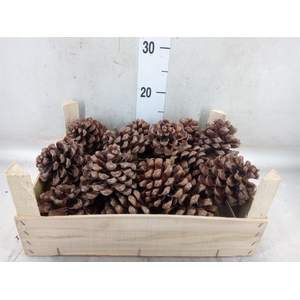 Decoratieve materialen   ...H%