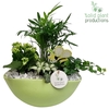 CH005 Eyleen Light Green