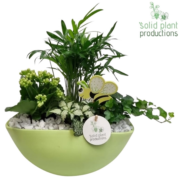 CH005 Eyleen Light Green