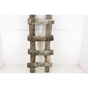 arr3 GB - Eiken ladder