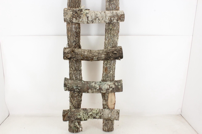 <h4>arr3 GB - Eiken ladder</h4>