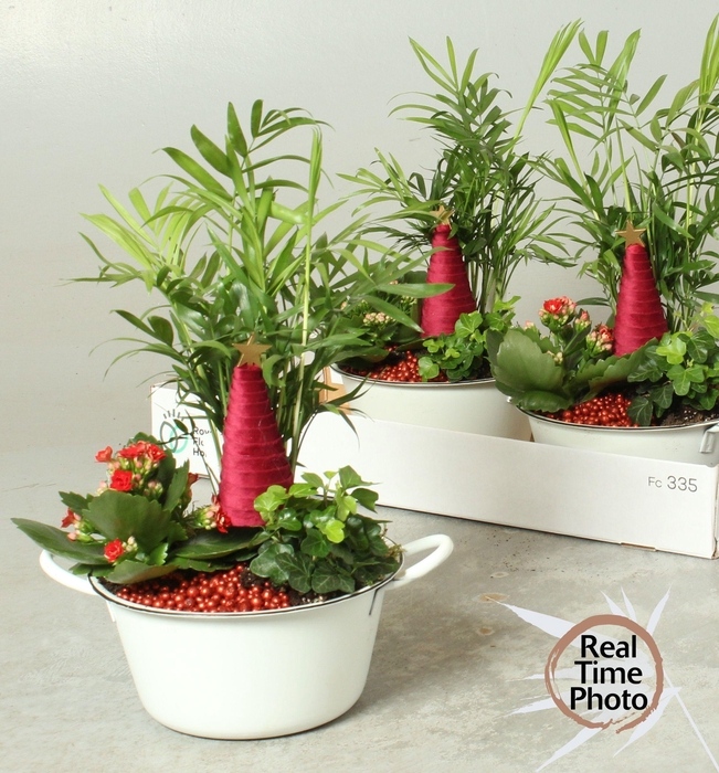 <h4>Arr Kamerpl</h4>