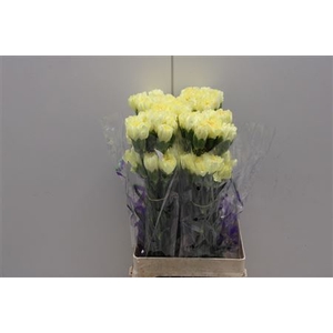 Di St Hermes Yellow