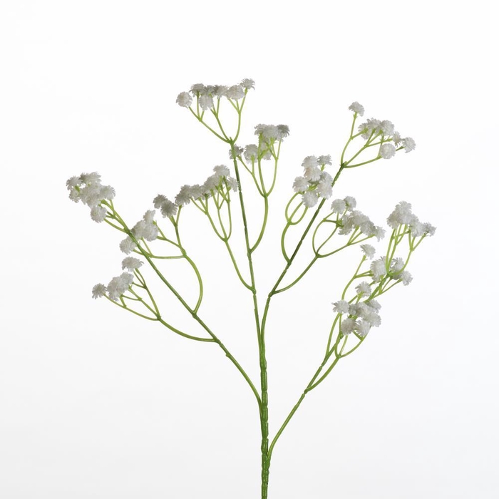 <h4>AF Gypsophila spray L62cm wh</h4>